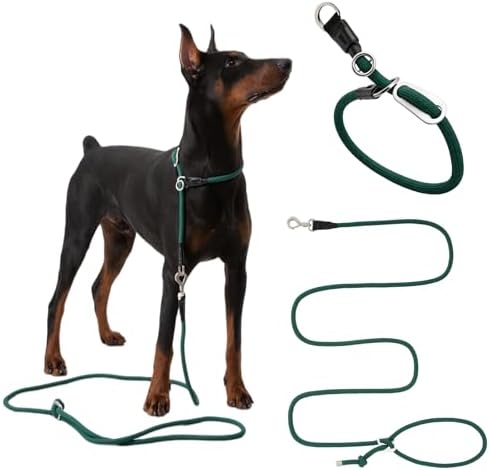 ETIAL No Pull Dog Leash for Large Dogs that Pull | Half Slip Rope Training Leash with Metal Locking Carabiner | Adjustable 120-210cm, No Choke, Anti-Escape, Heavy Duty Nylon (L)