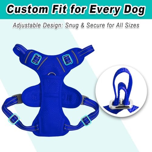 BARKBAY Dog Harness for Small Sized Dog No Pull Mesh 2 Clips Dog Vest