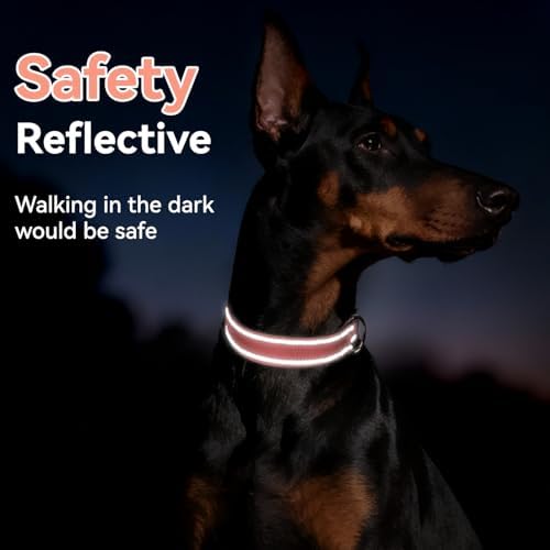 Reflective Dog Collar for Small Dogs with Quick Release Buckle