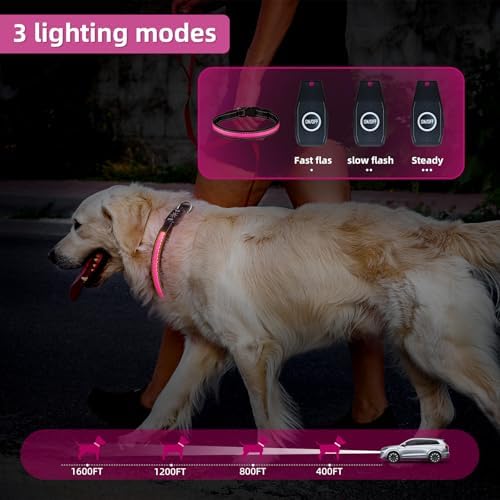 Light Up Dog Collar: Rechargeable Waterproof Safety Pet Accessories - Glow in The Dark Dogs Collars for Night Walking - Best Flashing Neon Pink Lights and Glowing Lighted Gear in Nite Time