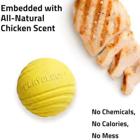 Playology Durable Large Dual Layer Dog Ball - Jumbo, Chicken Scent
