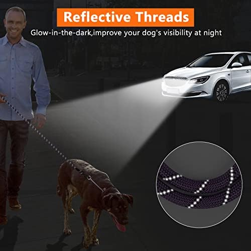 NTR 25FT Training Leash for Dog, Purple Rope Leash with Swivel Lockable Hook, Reflective Thread, Padded Handle, Dog Lead line for Walking, Hunting, Camping, Backyard for Small Medium Large Dog