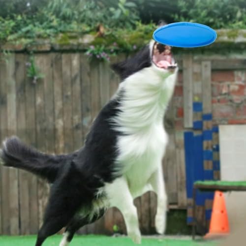Nonslip Dog Flying Discs Chew Outdoor Toy Rubber Soft Training Exercise for Active Pet Dog Disc Chew