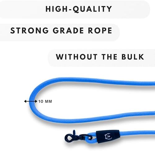 ShawnCo Basecamp Rope Dog Leash (Sunset Orange, 6 Feet)