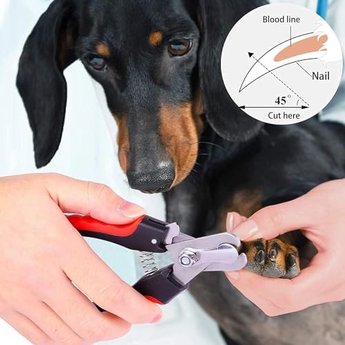 YNR Dog Nail Clippers for Large, Medium and Small Breed Professional Pet Nail Clipper Suitable for Cats, Rabbits and Guinea Pigs With Safety Lock and Protective Guard to Avoid Over Cutting