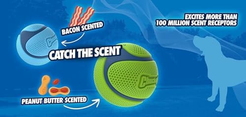 Chuckit! Sniff Ball Dog Toy, Bacon and Peanut Butter, Medium, 2 Pack
