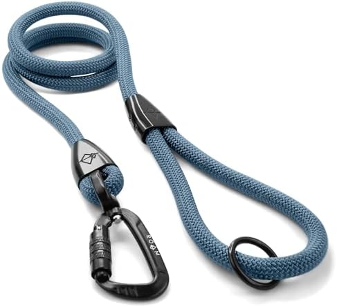 MADE TO ROAM Premium Explorer Leash - Climbing Rope Leash with Autolocking Aviation Aluminum Carabiner - California Horizon, 4ft
