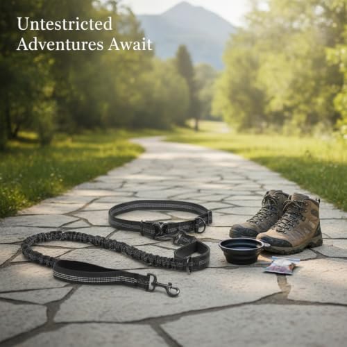 1 Pack Hands Free Dog Leash, Adjustable Nylon Waist Belt with Shock-Absorbing Bungee and Reflective Strips for Running and Hiking