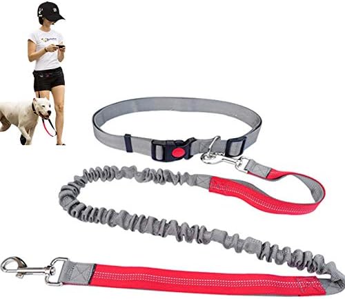 Retractable Hands Free Dog Leash for Running Walking Training Hiking,Bungee Waist Leash Adjustable Waist Belt Reflective Stitching Leash Shock Absorbing for Puppy, Small & Medium Dogs