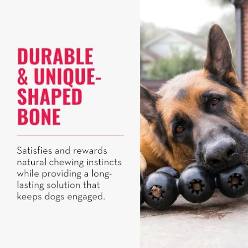 KONG Extreme Goodie Ribbon, Stuffable Rubber Chew Toy, for Large Dogs