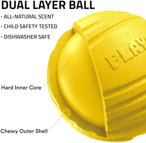 Playology Durable Large Dual Layer Dog Ball - Jumbo, Chicken Scent