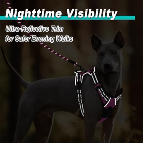BARKBAY Dog Harness for Medium Sized Dog No Pull 2 Leash Clips Dog Vest