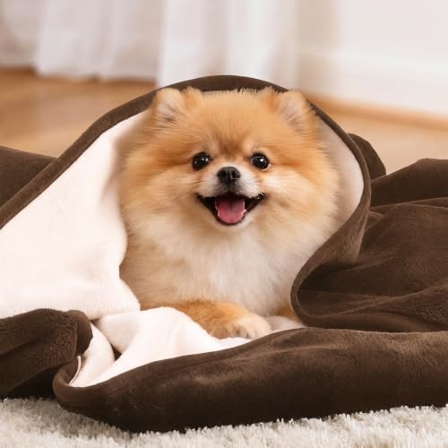 LOOBANI Waterproof Puppy Blanket for Dog Crate, 30"x40", Coffee