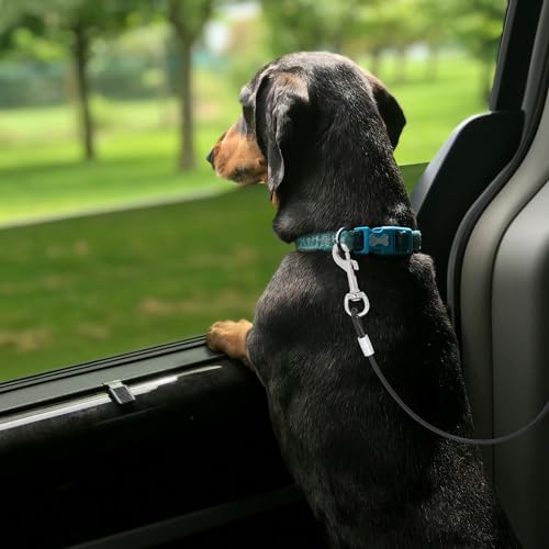 Chew Proof Dog Car Seatbelt Safety Restraint Stainless Steel Tether Cable