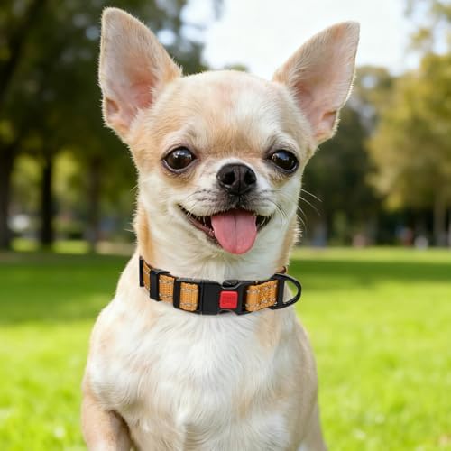 Taglory Reflective Dog Collar for Puppies, Gentle and Safe for Night Walks