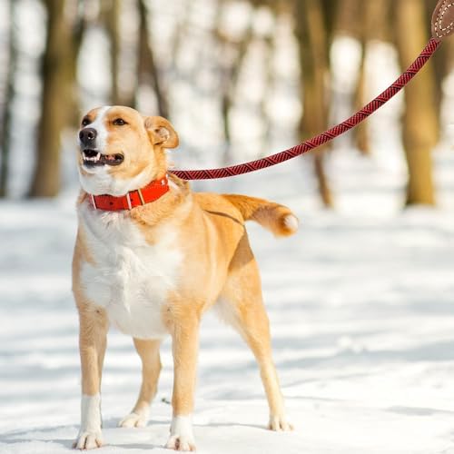 Mile High Life Dog Leash with Genuine Leather-Wrapped Ends, 4/5/6FT
