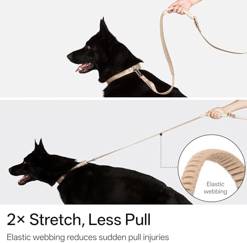 Hands Free Dog Leash Adjustable Versatile Crossbody Waist Dog Leash Reflective Comfortable Padded Handles Shock Absorbing Walking Lead for Small Medium Large Dogs (Super Reflect-Earth, S)