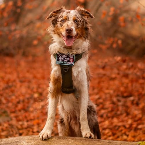 rabbitgoo Tactical Dog Harness Medium Sized, No Pull Service Pet Vest