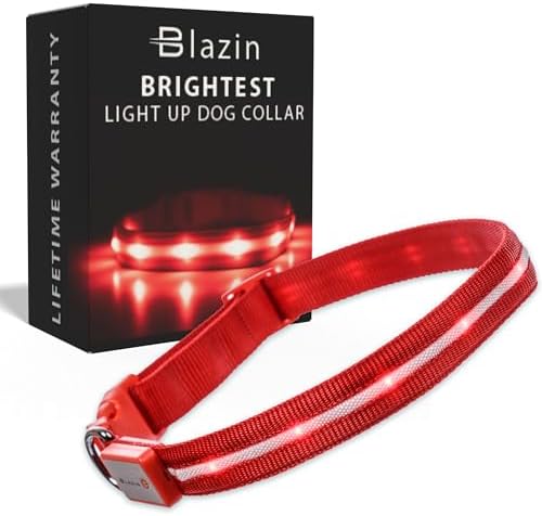 Blazin Light Up Dog Collar - The Original LED Dog Collar - USB Rechargeable - Waterproof - 1,000 Feet of Visibility - Dog Collar Light for Small, Medium, Large Dogs - USA Brand