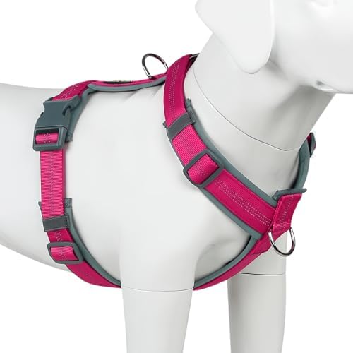 Plutus Pet No Pull Dog Harness, Adjustable Nylon Harness with Soft Padding