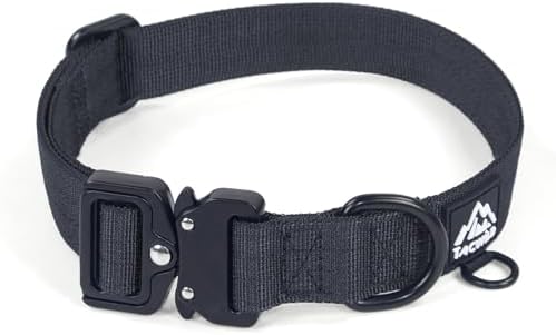 Dog Collar for Large Medium Small Dogs Leash Harness(NY Afterlight,XS)