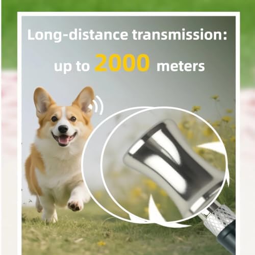 Professional Recall Dogs (Black*2)