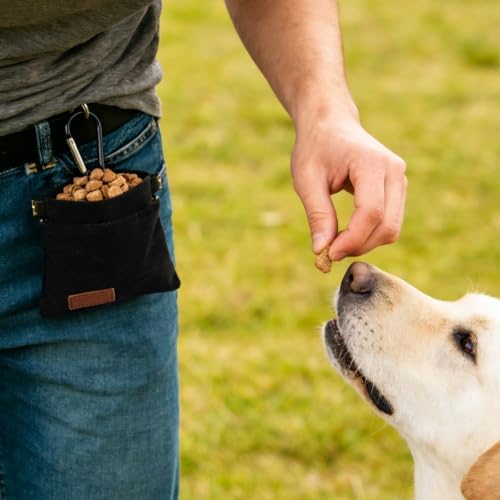 2Pcs Dog Treat Pouch, Hand Free Dog Training Treat Pouch
