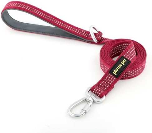 Plutus Pet Heavy Duty Dog Leash with Lockable Aluminum Carabiner, 4 FT Long