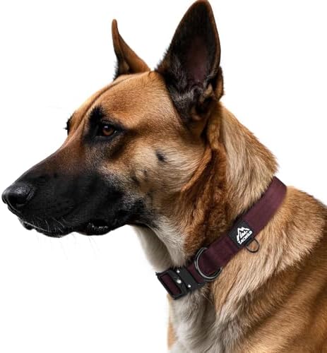 Dog Collar for Large Medium Small Dogs Leash Harness(Burgundy, XL)