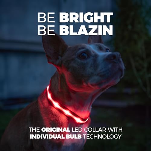Blazin Light Up Dog Collar - The Original LED Dog Collar - USB Rechargeable - Waterproof - 1,000 Feet of Visibility - Dog Collar Light for Small, Medium, Large Dogs - USA Brand