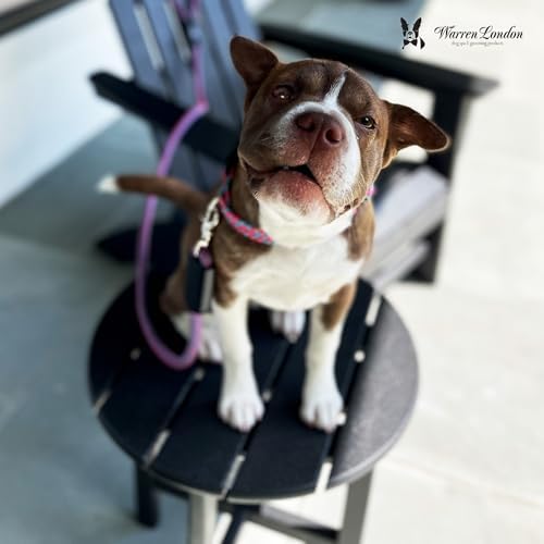 Warren London Climbing Rope Dog Leash | 5ft Length with Options for Reflective | Ergonomic Grip Comfort Control and Durability | Heavy Duty for Small Medium and Large Dogs | Purple