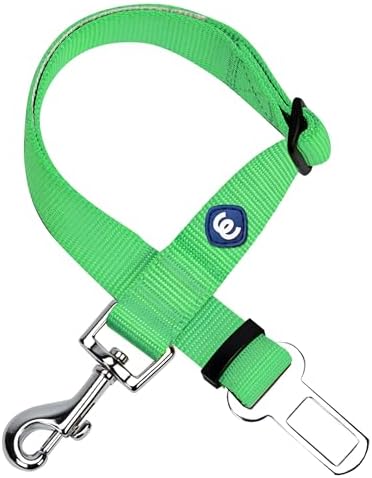 Blueberry Pet Essentials Classic Dog Leash, Neon Green Dog Leashes for Large Dogs Heavy Duty, Puppy Essentials Car Seat Belt Tether, Safety Accessories for Pet Parents & Road Trip Enthusiasts