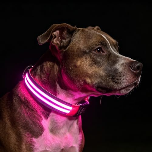 Light Up Dog Collar for Night Walking, Reflective LED Collar(Pink, Large)