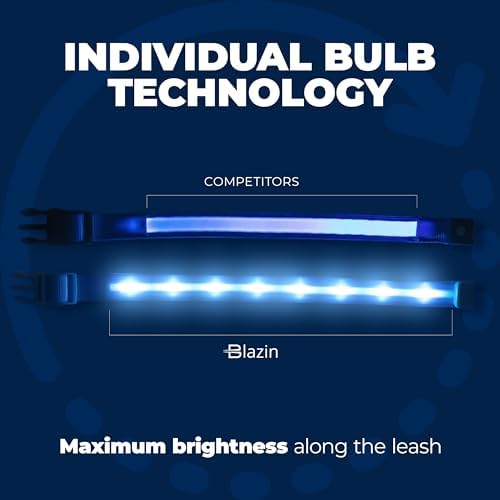 Blazin Light Up Dog Collar - The Original LED Dog Collar - USB Rechargeable - Waterproof - 1,000 Feet of Visibility - Dog Collar Light for Small, Medium, Large Dogs - USA Brand