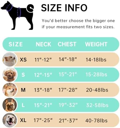 IVY&LANE No Pull Dog Harness for Large Dogs,Reflective Dog Vest Harness | No Choke,Fully Adjustable,Soft Handle,with Leash, Safety Belt and Storage Strap,Turquoise,XL