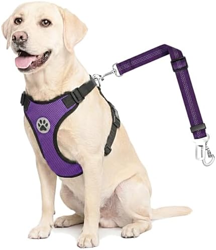 Lukovee Dog Car Harness Seat Belt, Harness & Seatbelt with 2 in 1 Buckle
