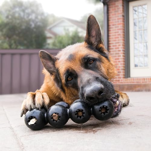 KONG Extreme Goodie Ribbon, Stuffable Rubber Chew Toy, for Large Dogs