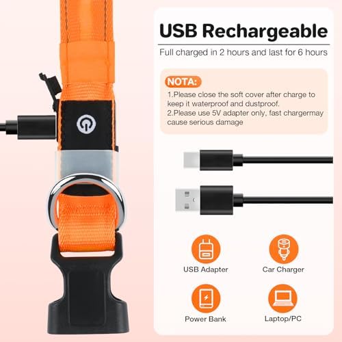 Light Up Dog Collar, Rechargeable 6 Modes, Waterproof Charging Port