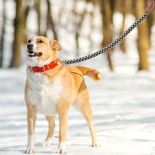 Mile High Life Dog Leash with Genuine Leather-Wrapped Ends, 4/5/6FT