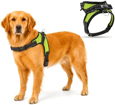 No Pull Reflective Adjustable Dog Harness with Handle- Comfortable Soft All Weather Mesh, Easy On Puppy Harness for Small Medium and Large Dogs (Green) X-Large