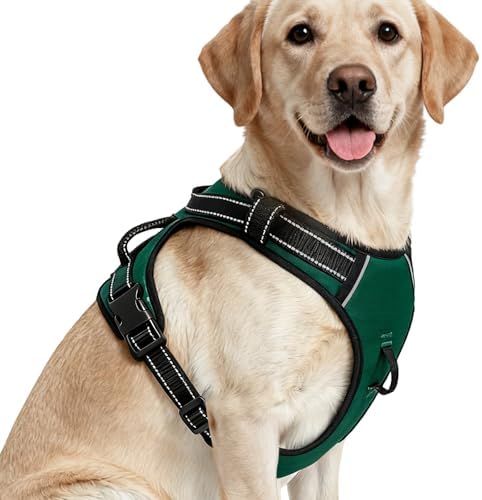 No Pull Dog Harness, No-Choke Soft Padded Reflective Dog Vest Harness with Front Clip & Top Handle, 2 Quick-Release Buckles, Adjustable for Small Medium Large Dogs