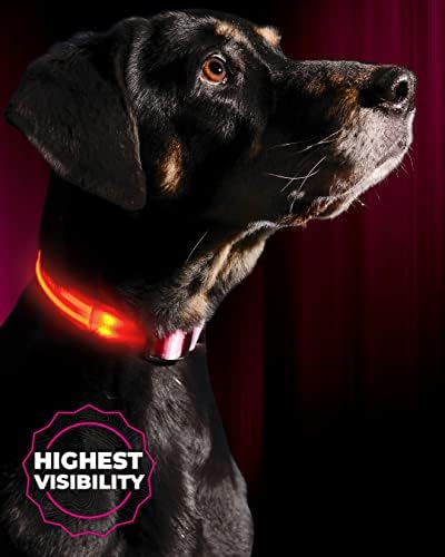 ILLUMISEEN LED Dog Collar USB Rechargeable - Bright & High Visibility Lighted Glow Collar for Pet Night Walking - Weatherproof, in 6 Colors & 6 Sizes (Pink XX-Small)