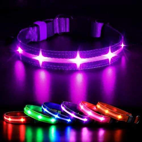 MASBRILL Led Dog Collar - Rechargeable, Water-Resistant, Flashing Glowing Collar for Night Walking - S(15.75 * 0.98in)