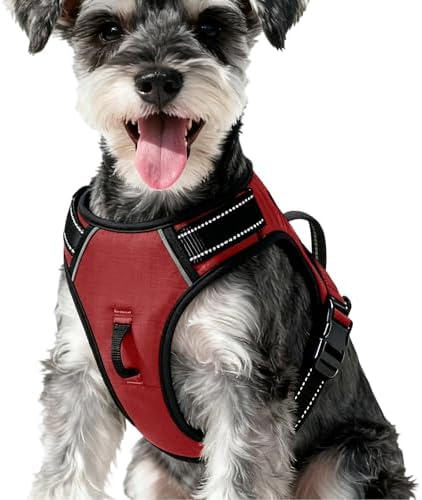 No Pull Dog Harness, No-Choke Soft Padded Reflective Dog Vest Harness with Front Clip & Top Handle, 2 Quick-Release Buckles, Adjustable for Small Medium Large Dogs
