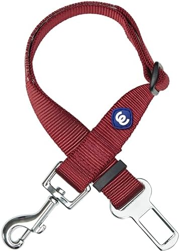 Blueberry Pet Dog Leash Puppy Essentials Seat Belt Tether for Dogs Cats, Fired Brick, Heavy Duty Dog Leashes for Large Dogs - Safety for Pet Parents, Road Trip Enthusiasts, 2"x27.5"