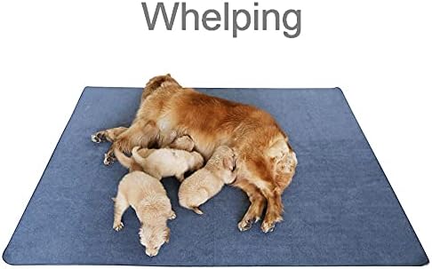 Peepeego Non-Slip Dog Pee Pad 65"x48" Washable,Waterproof for Training, Whelping