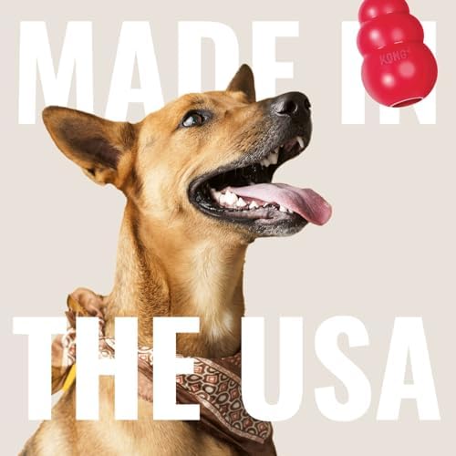 KONG Extreme Goodie Ribbon, Stuffable Rubber Chew Toy, for Large Dogs