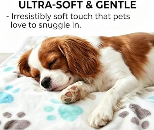 CADONO Fluffy Premium Flannel Dog Blanket Washable Paw Printed Throw for Small Medium Large Dog Cat(55"x40" White)