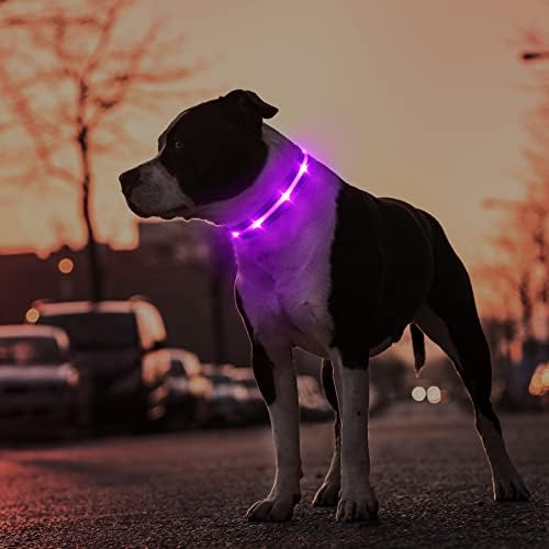 MASBRILL LED Dog Collar - Rechargeable, Lighted, Adjustable for Large Dogs - Purple, Nighttime Walks