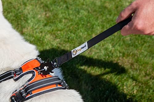6FT Silicone Tactical Heavy Duty Dog Leash with Quick Release Carabiner - Perfect Traffic Leash for Large Dogs that Pull, Giant Breeds - Odor Proof Waterproof (Red)